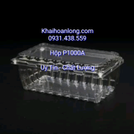 HỘP ĐỰNG TRÁI CÂY P1000A