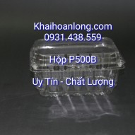 HỘP ĐỰNG TRÁI CÂY P500B